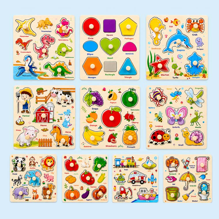 Color Matching Peg Board