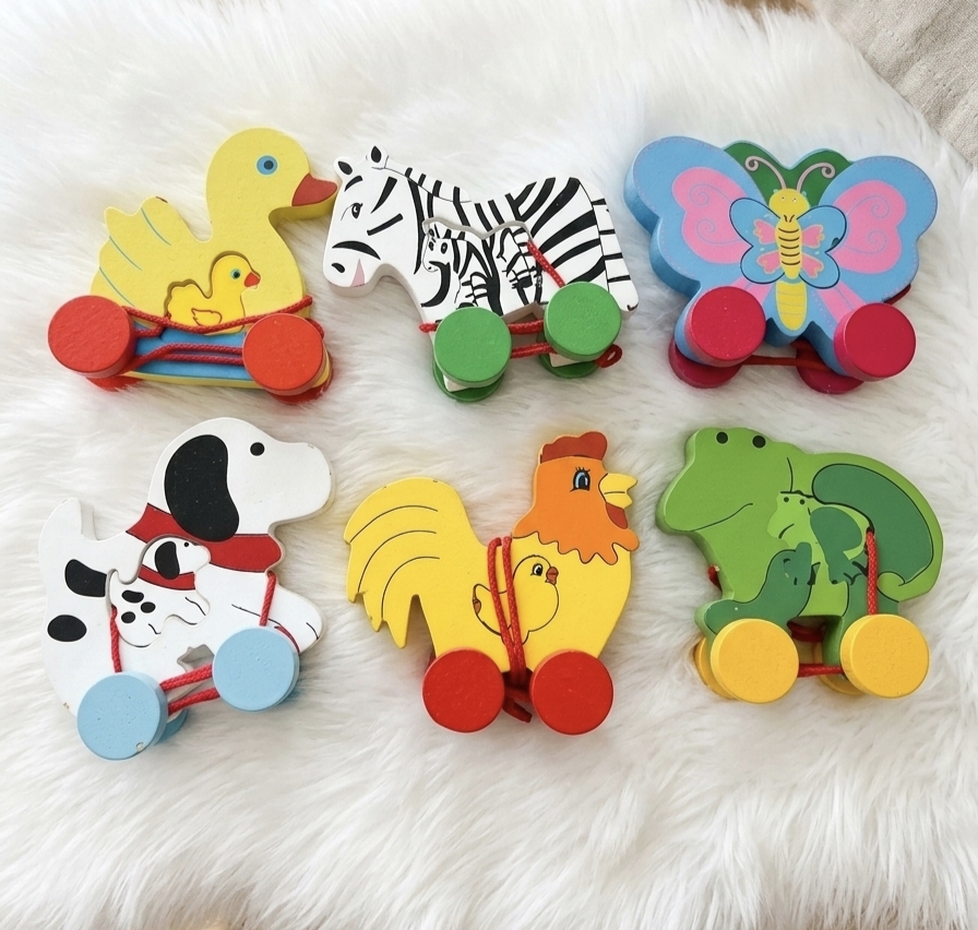 WOODEN PULL ALONG TOY FOR TODDLERS  - RANDOM DESIGN