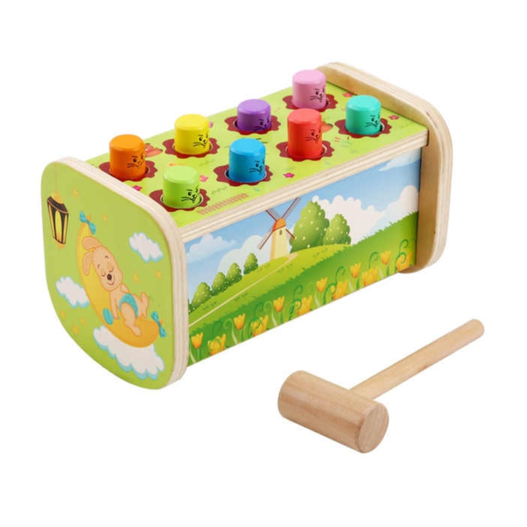 SWINGING HAMSTER
